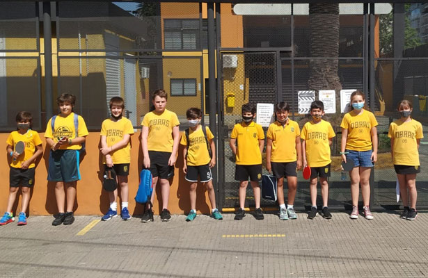 Tenis de Mesa Club